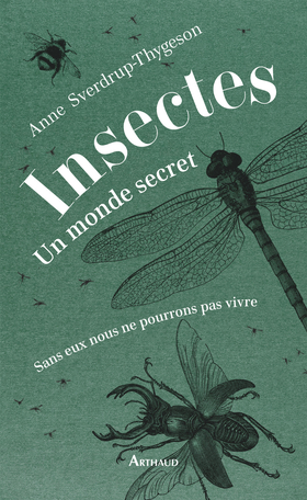 Insectes : un monde secret